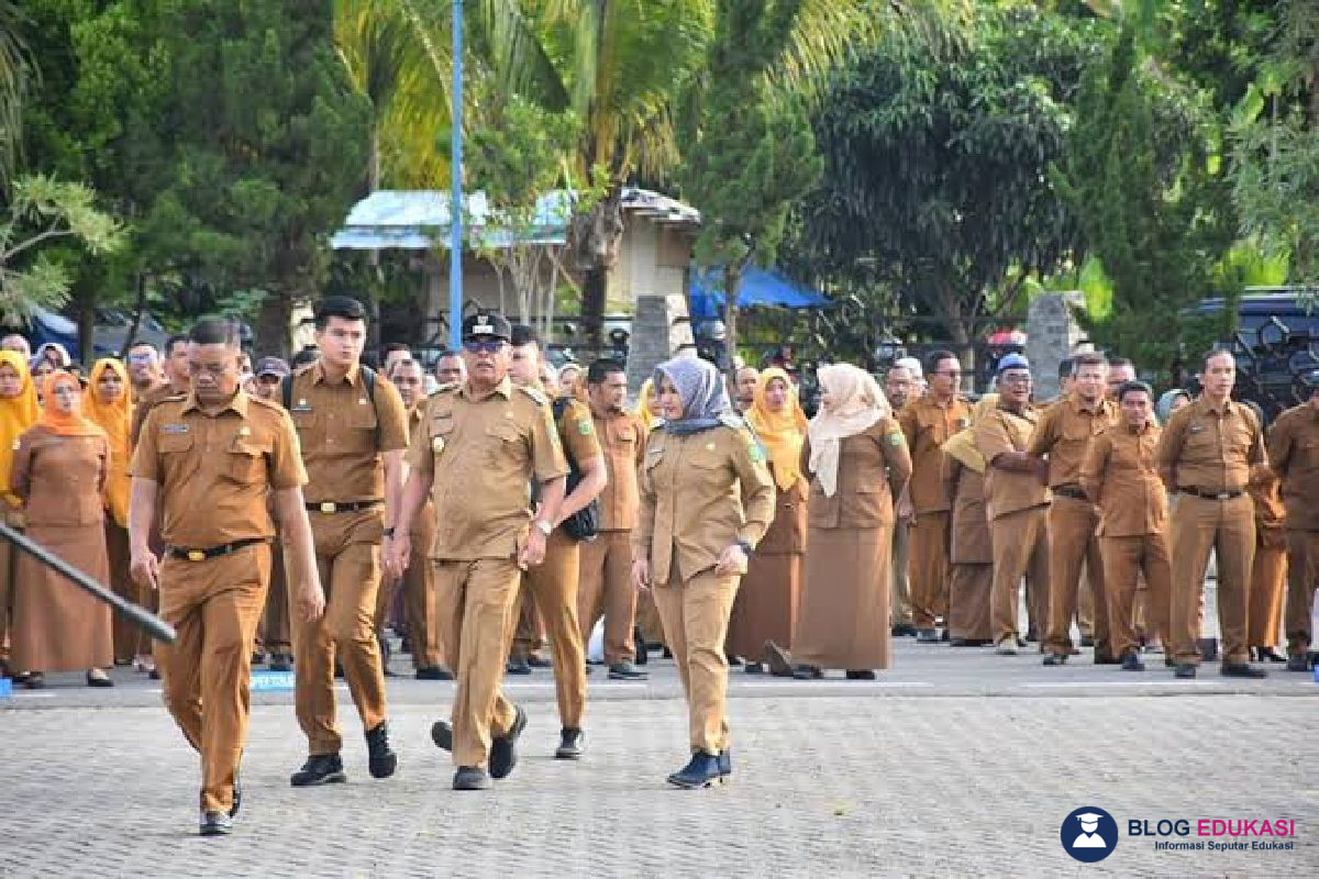 Apa Itu Tenaga Teknis CPNS