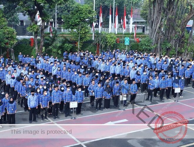 Memahami Fungsi ASN dalam Pemerintahan dan Masyarakat