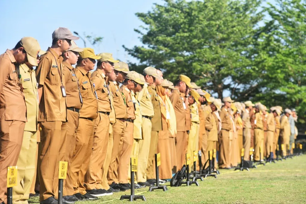 apa bedanya p3k dengan pns