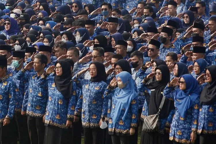 Apakah PPG Itu PNS