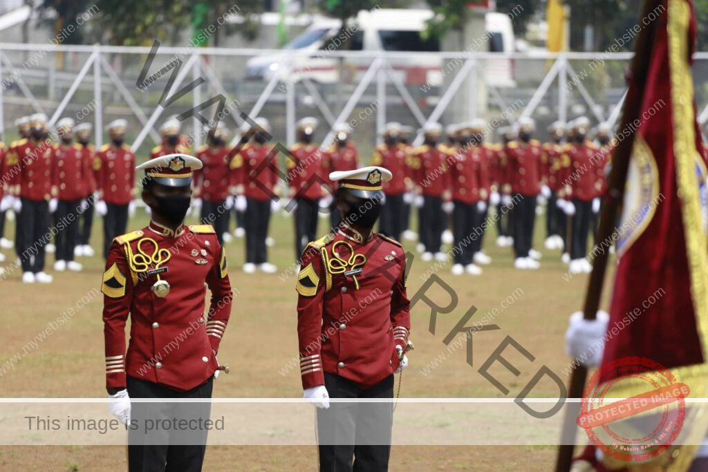 Ikatan Dinas Apa Saja