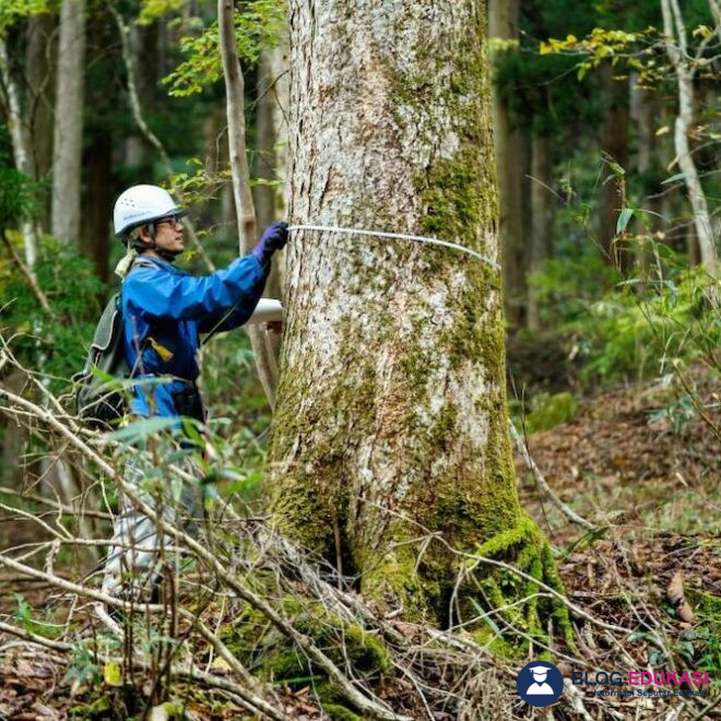 Jurusan Kehutanan Kerja Apa? Peluang & Prospeknya