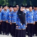 Macam-Macam PNS dan Tugasnya Lengkap & Terbaru