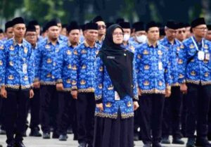 Macam-Macam PNS dan Tugasnya Lengkap & Terbaru